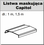 Listwa maskująca Capitol srebrna-1,00m Sevroll System